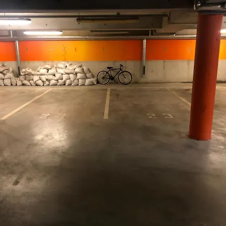 365